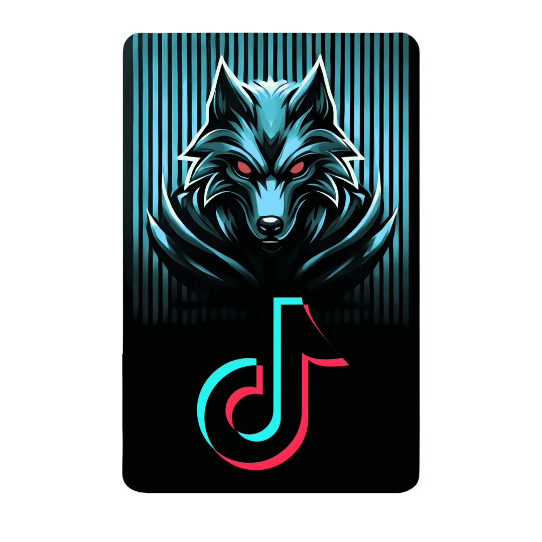 tiktok_Flix_card زيادة متابعين تيك توك